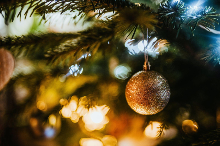 The Political Divide Over Artificial Christmas Trees